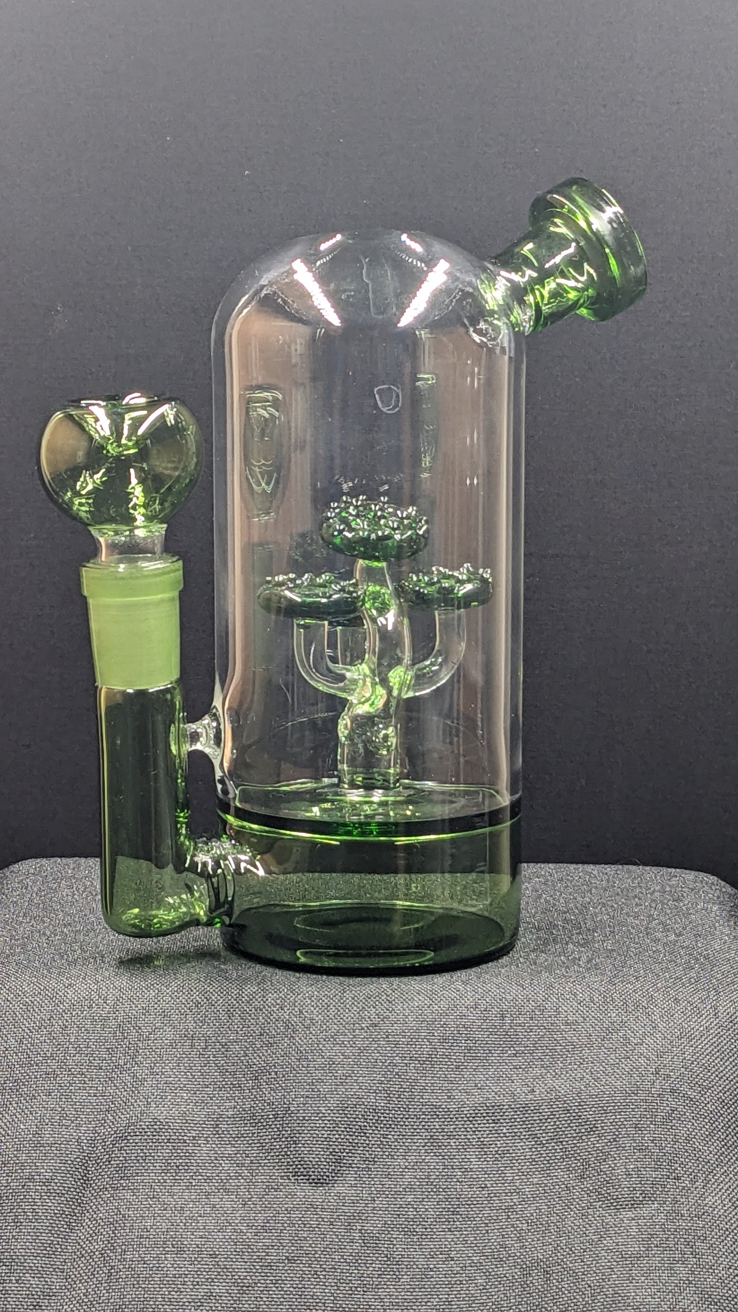 5.5" Glass Water Pipe Bong Dome Tree