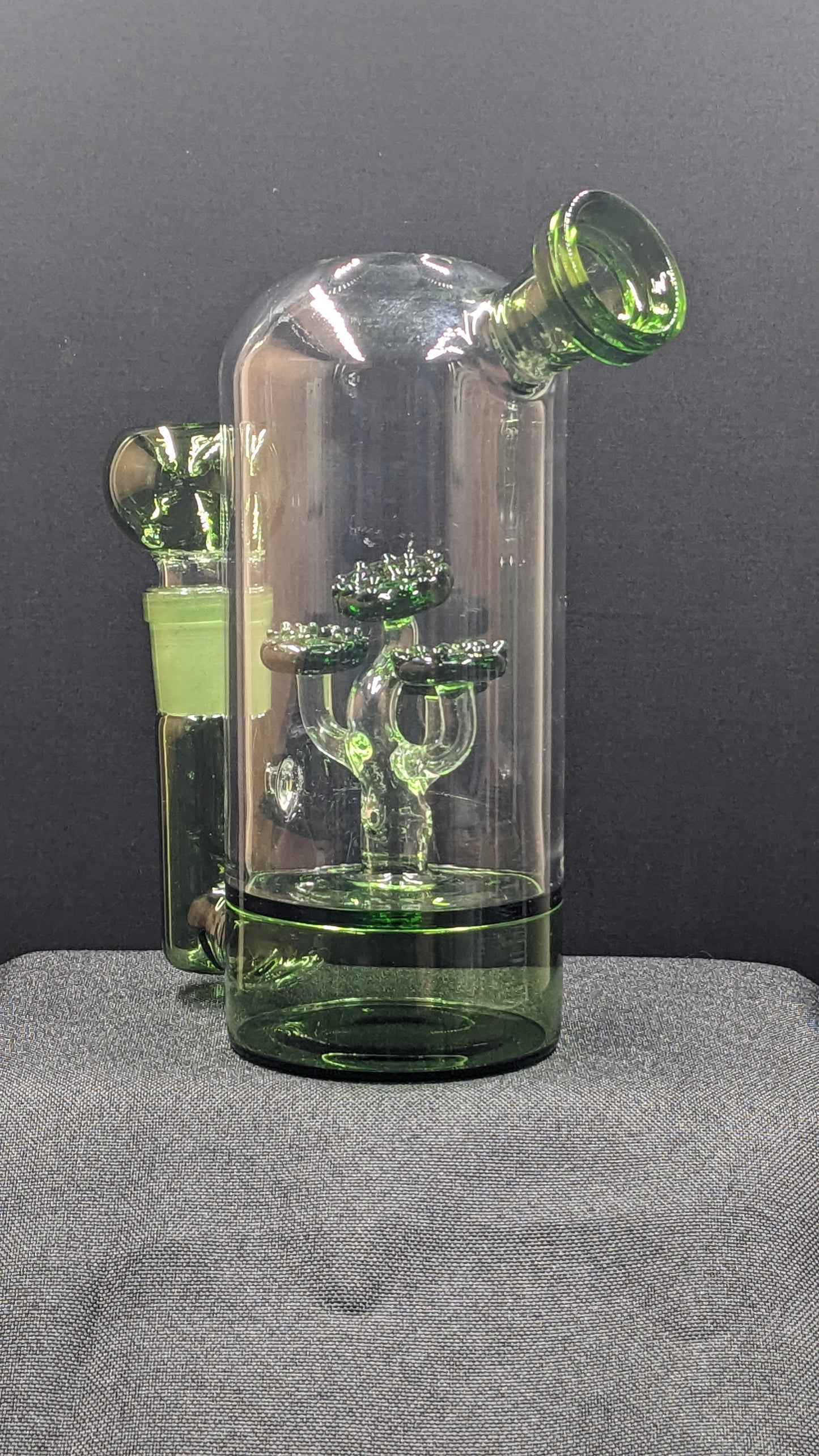 5.5" Glass Water Pipe Bong Dome Tree