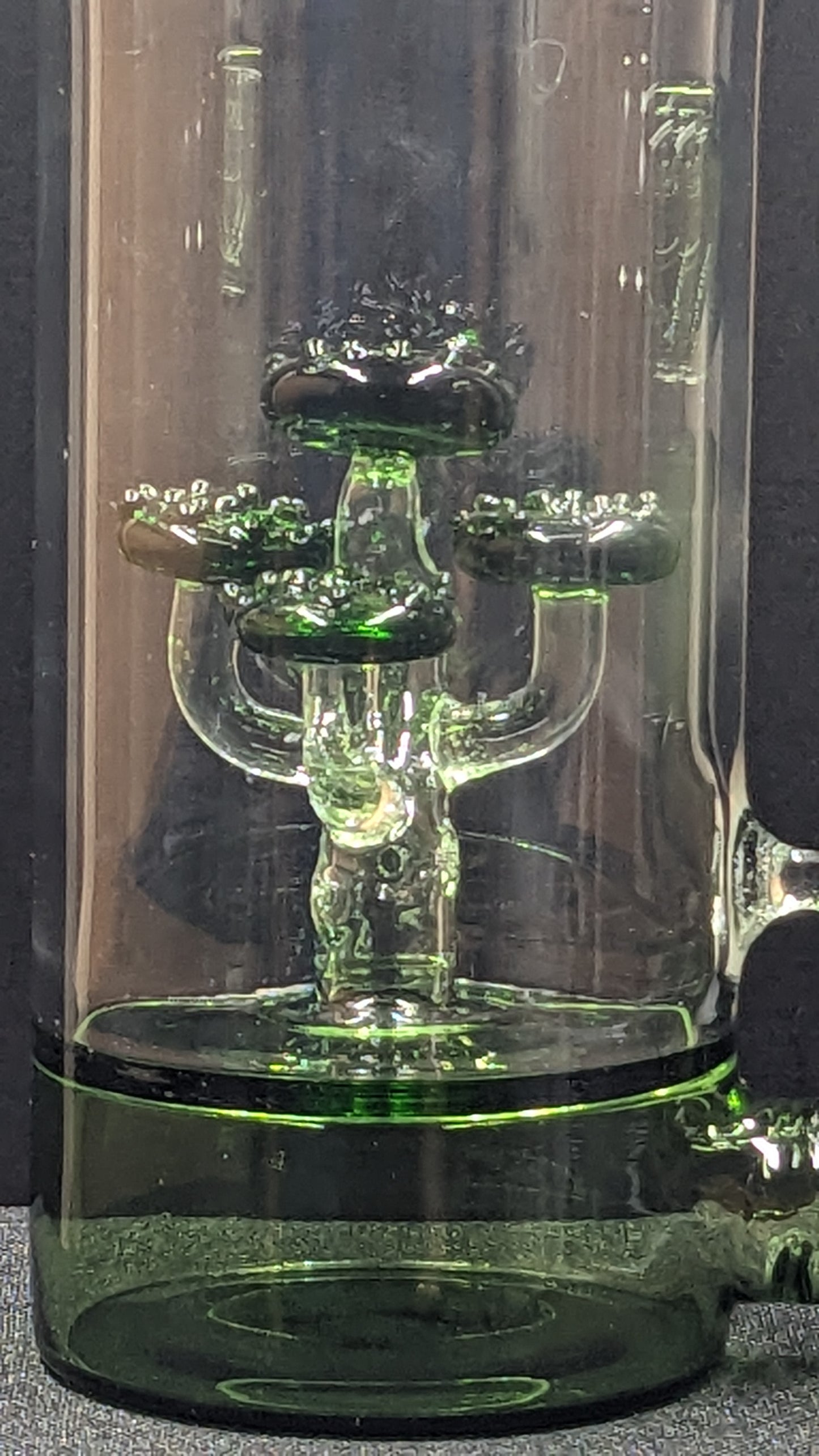 5.5" Glass Water Pipe Bong Dome Tree
