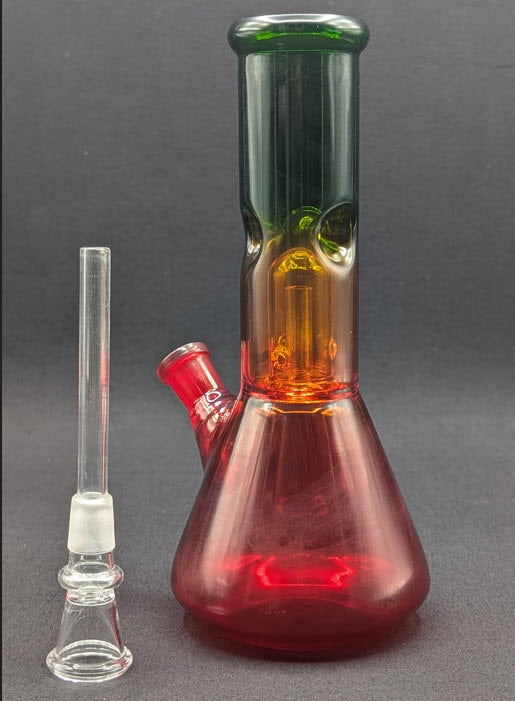 8" Glass Water Pipe Bong Rasta + 5 FREE Screens